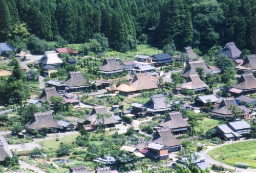 【衝撃】京都児童さん、親族10人で暮らす大家族だったと判明・・・・・・・・・