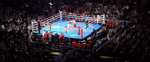 【悲報】格闘技で一番稼げるのが一番弱いボクシングという事実のサムネイル