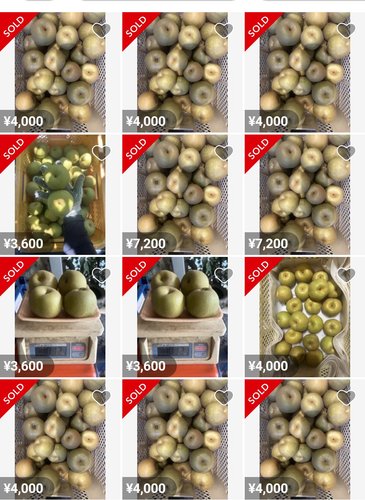 【悲報】メルカリの梨、ガチで同じ人間が買いまくっていた・・・・・・・・・