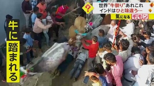 【動画】インドの暴れ牛を村人が撃退する映像、ガチで情報量が多すぎるｗｗｗｗｗｗｗｗｗｗ