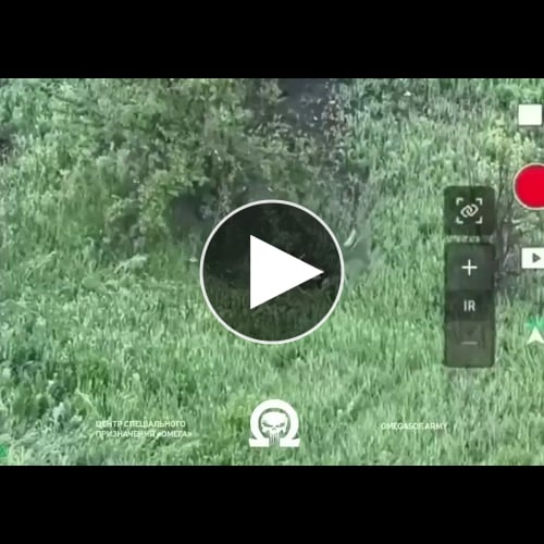 【動画】ウクドローン、草に引っかかって墜落
