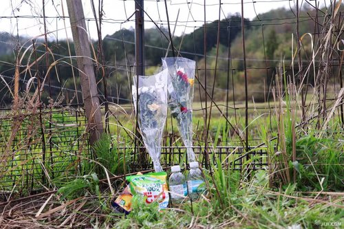 【悲報】京都府南丹市の遺体発見現場さん、ガチでゴミ捨て場と化してしまう・・・・・・・・・