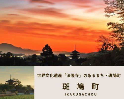 【悲報】「斑鳩」←これ読めないやつ多すぎるｗｗｗｗｗｗｗｗｗｗ