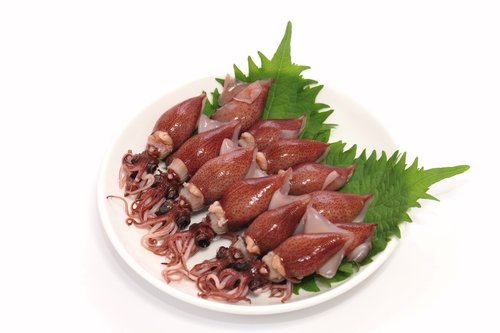 【悲報】ホタルイカとかいう攻守最強のオツマミ、ガチで過小評価されすぎな件ｗｗｗｗｗｗｗｗｗｗ