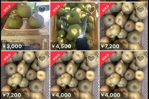 【衝撃】【画像】メルカリで訳あり品“幸水”が大量出品中・・・・・・・・・