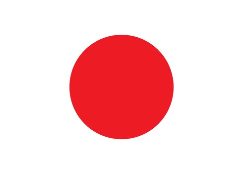 【悲報】自民党「家で国旗を損壊してからデモに持ってくるのは国旗損壊罪の対象外だよ」