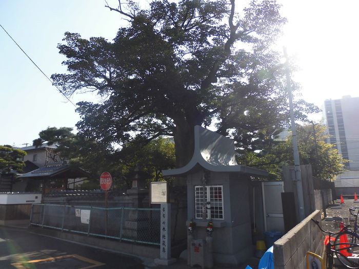00172 もちの木地蔵尊 大阪府東大阪市菱江 じぞめぐり