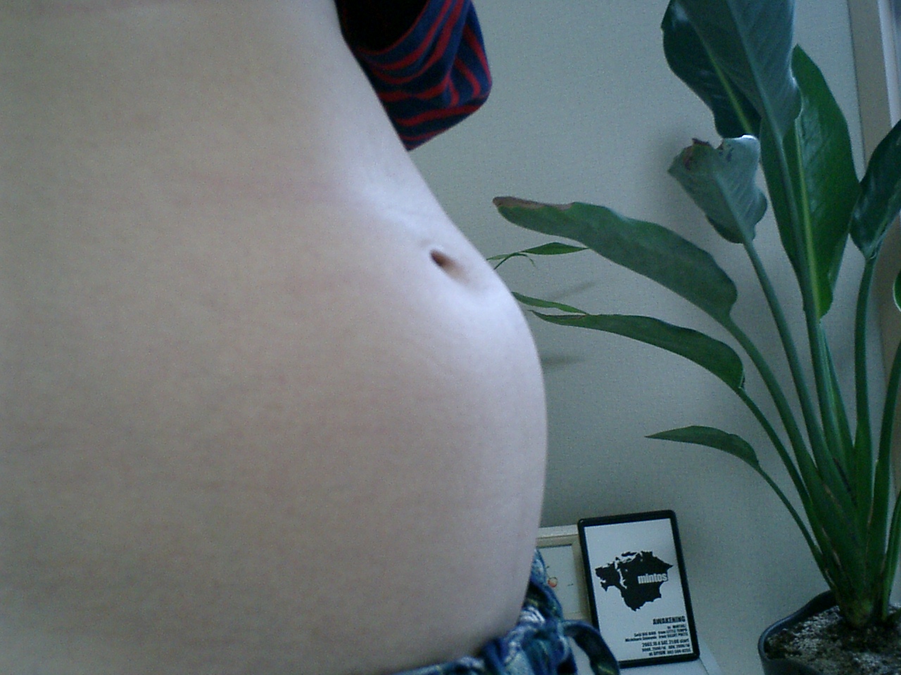 本日開始 デブ腹改造 ついでに日々の出来事も