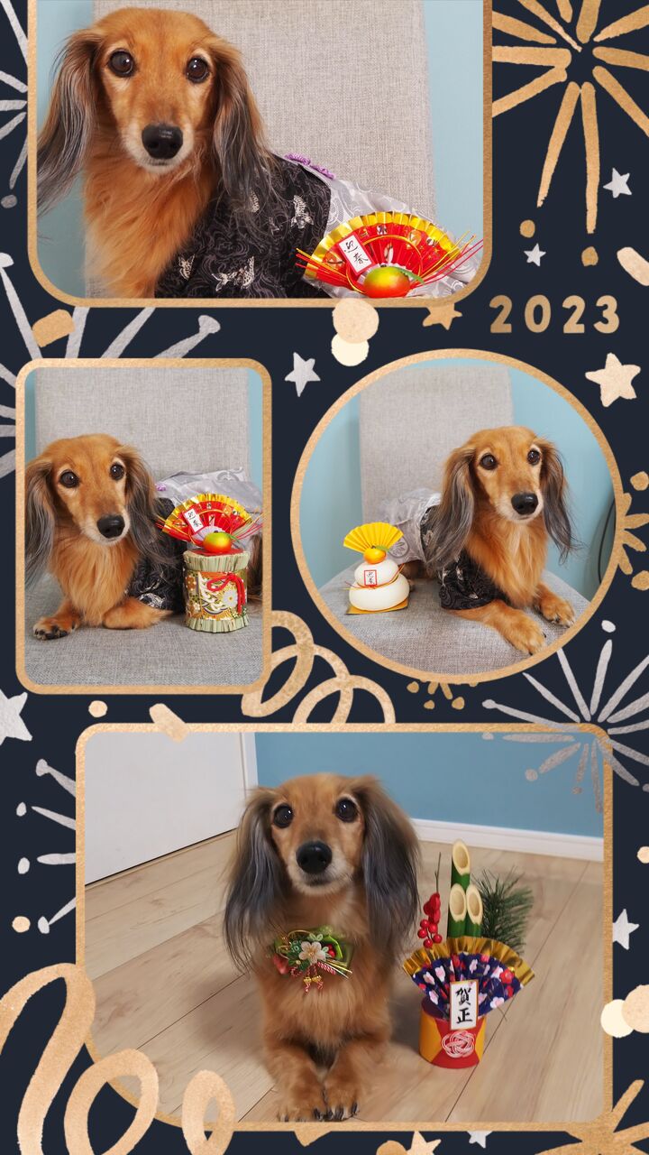 20230114_153502-COLLAGE