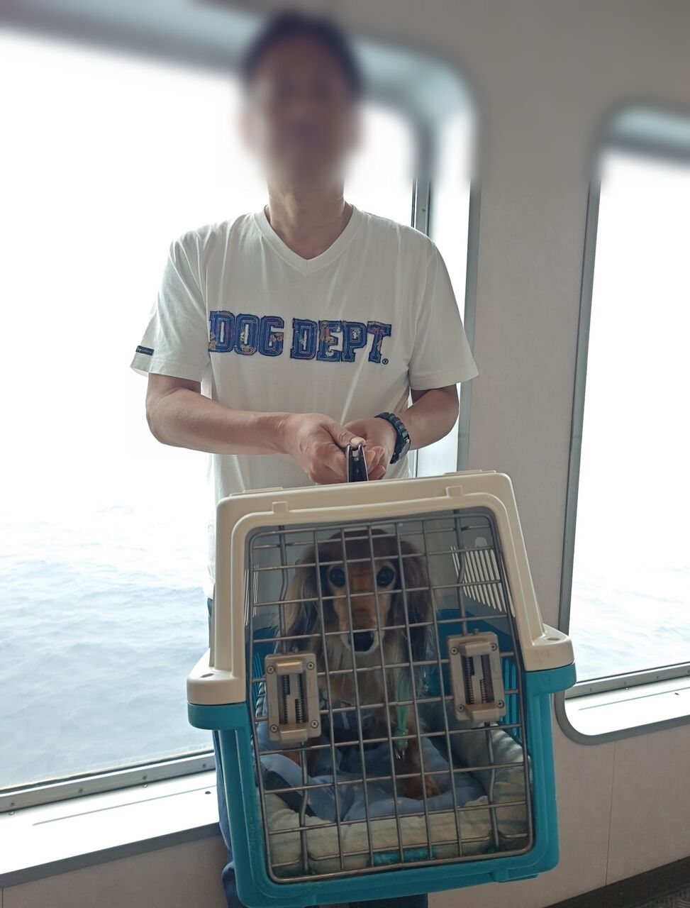 12fdf42f-437d-4138-a258-25d37b7d2fc5-1_all_50053