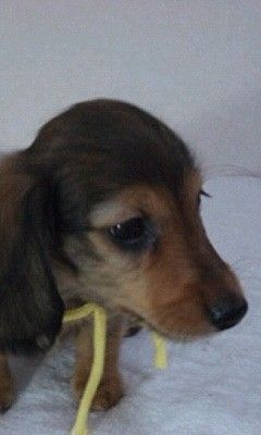 ��ǥ�10��19��