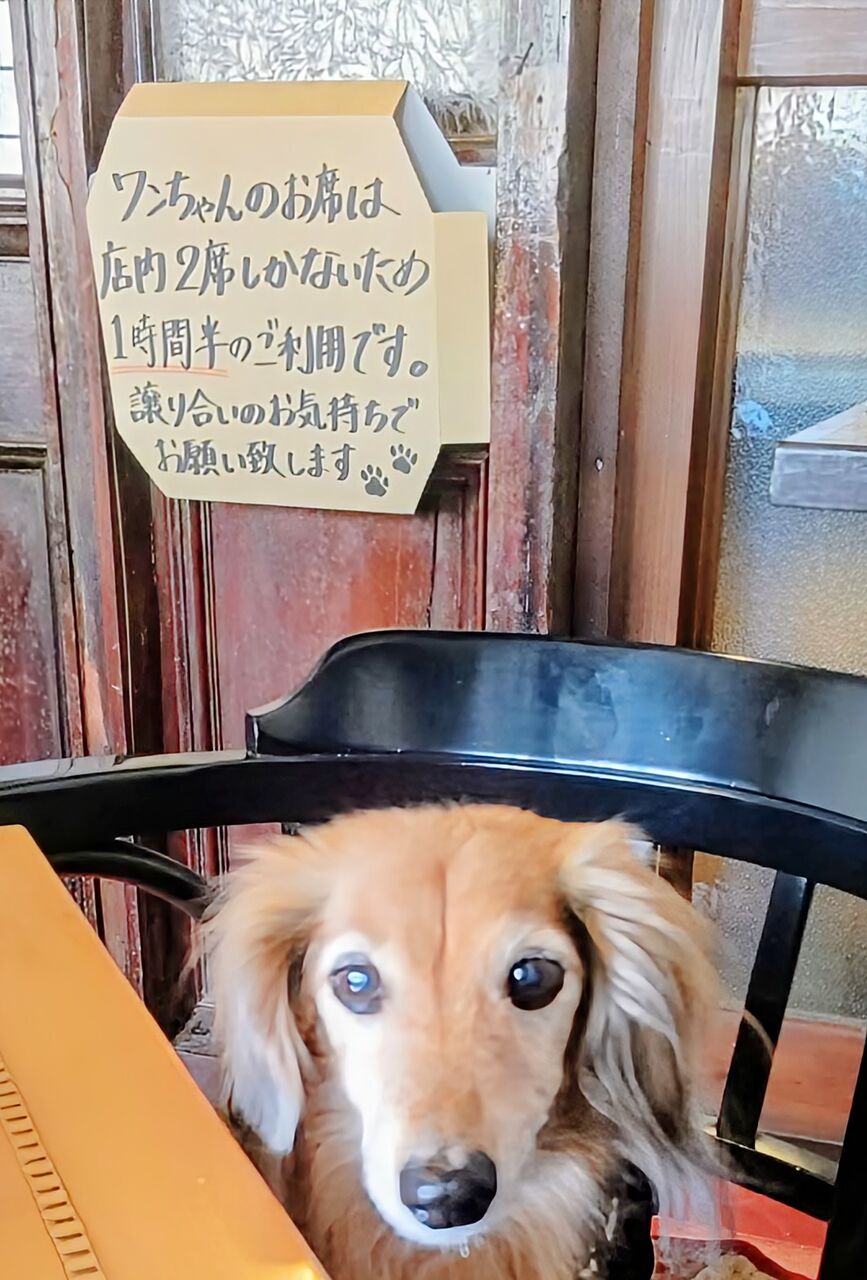 260327131746375~4