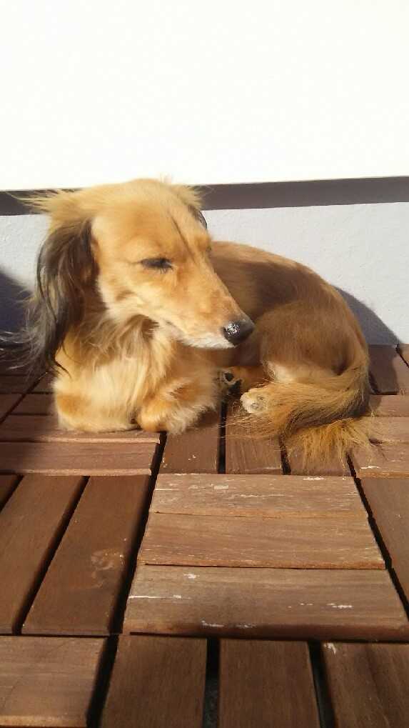 �����ܤä���