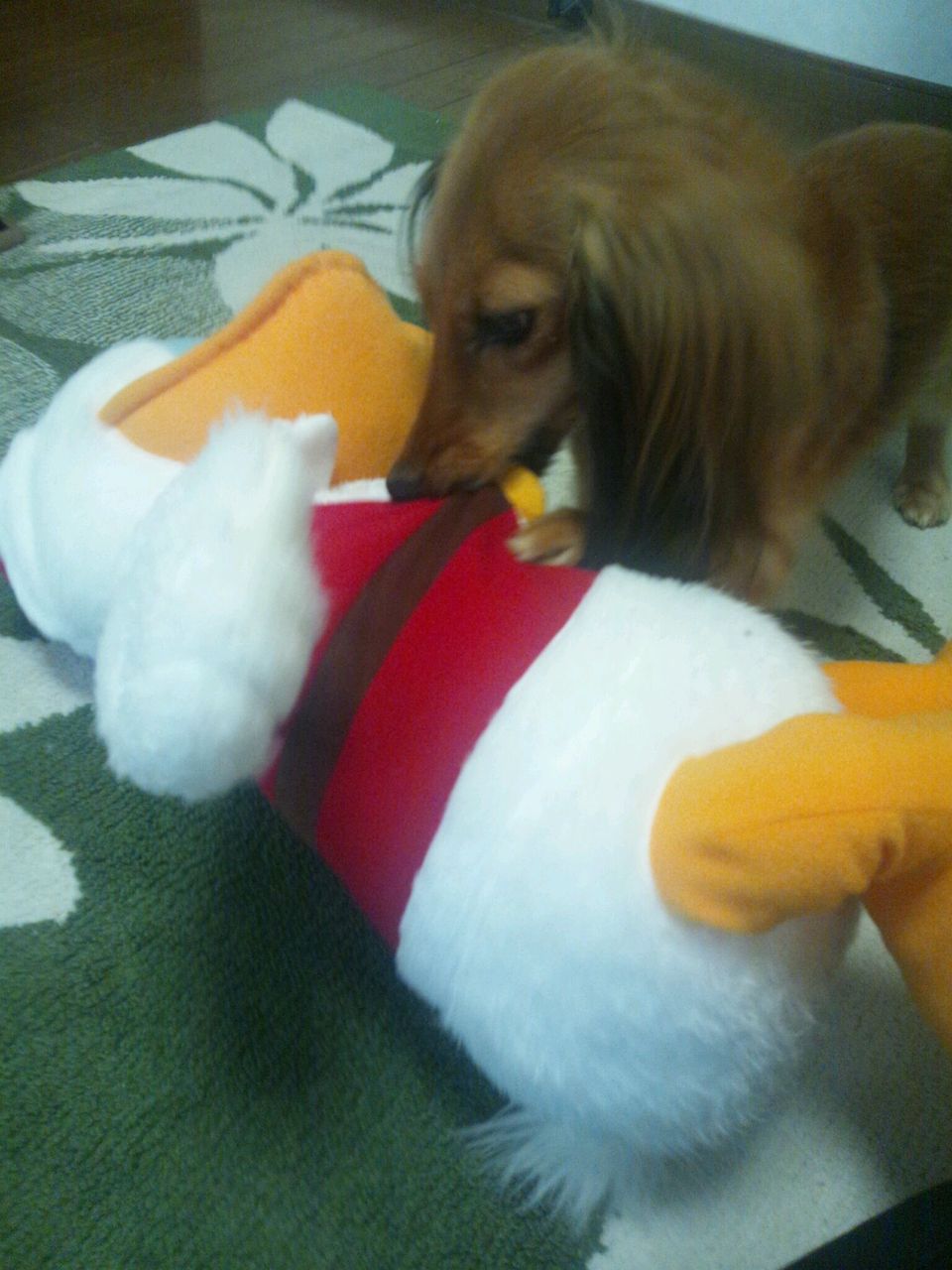 2014¡¡¥¯¥ê¥¹¥Þ¥¹¡¡³ú¤ß