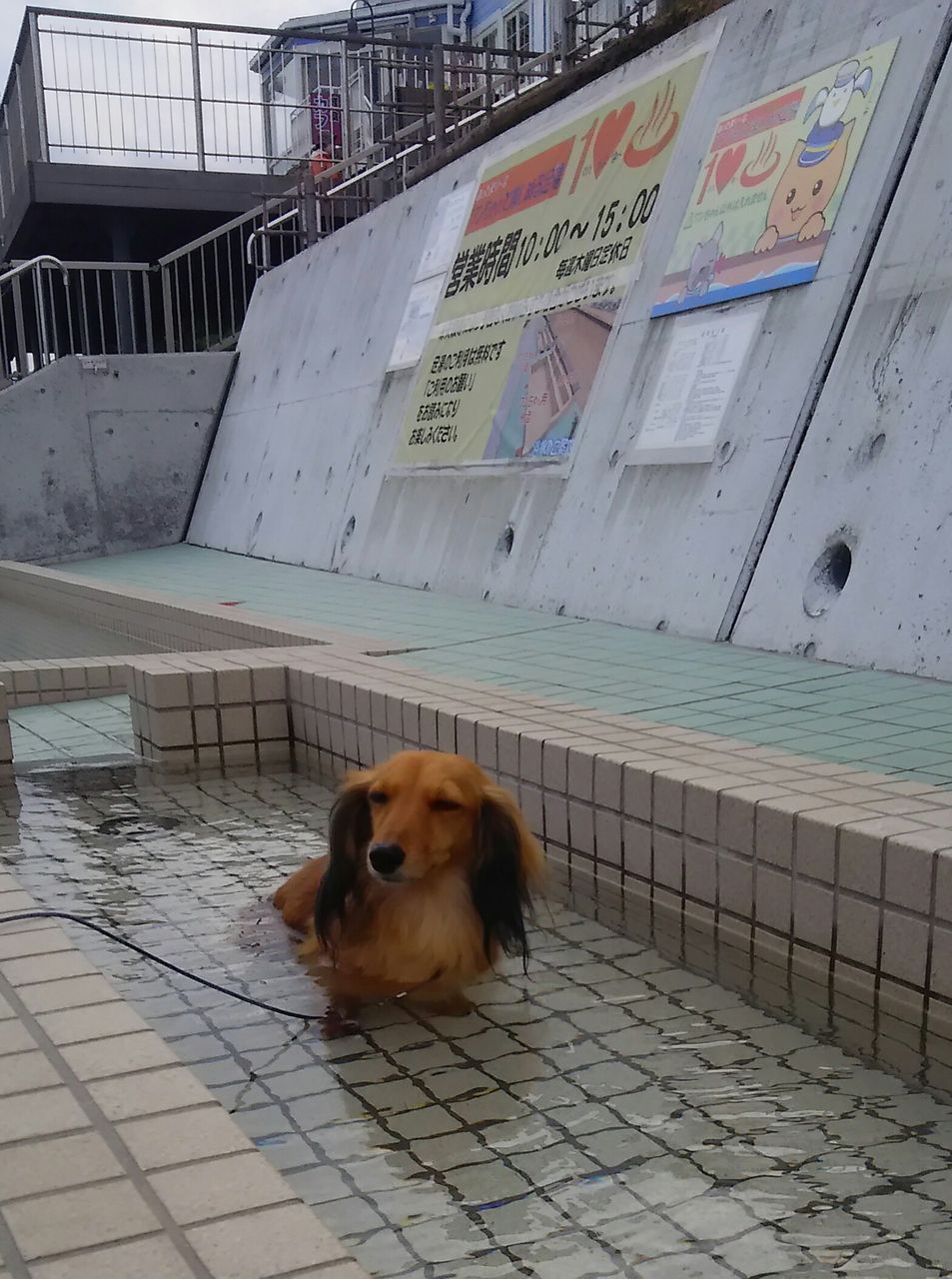 image%3A7431