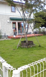3dd8cd09.jpg