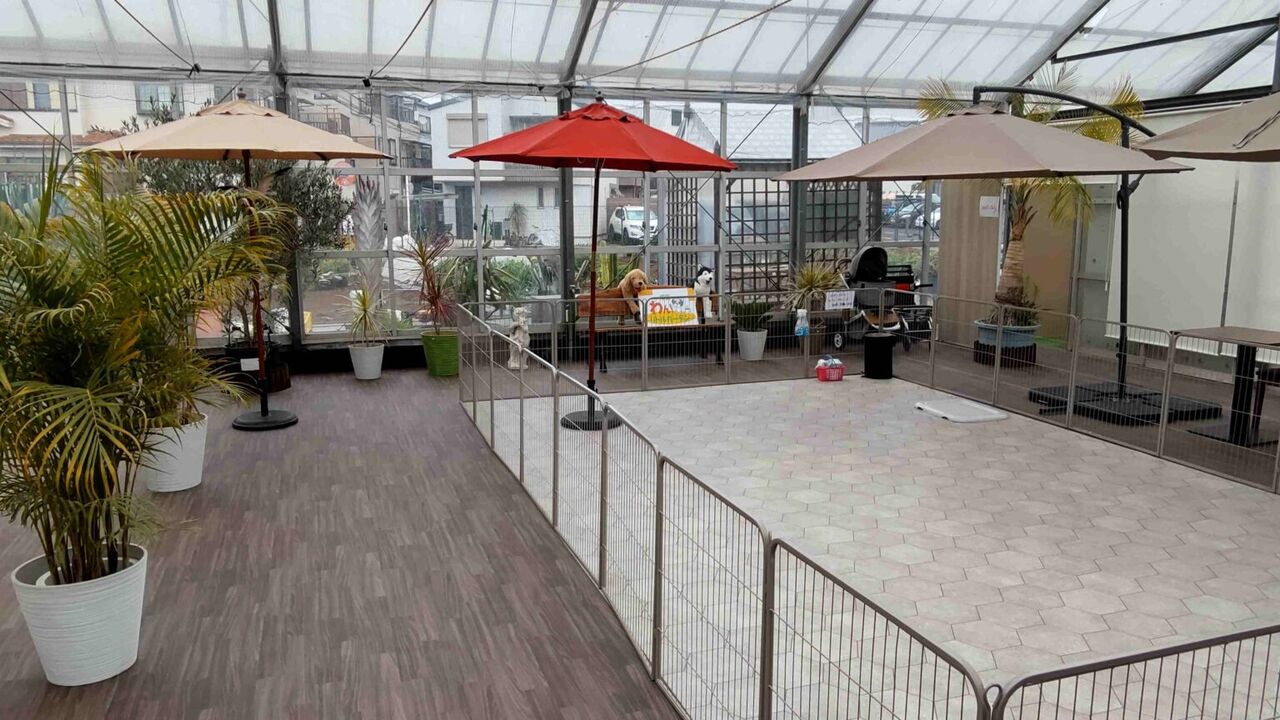 niwa-desu2024-3-23-1536x864