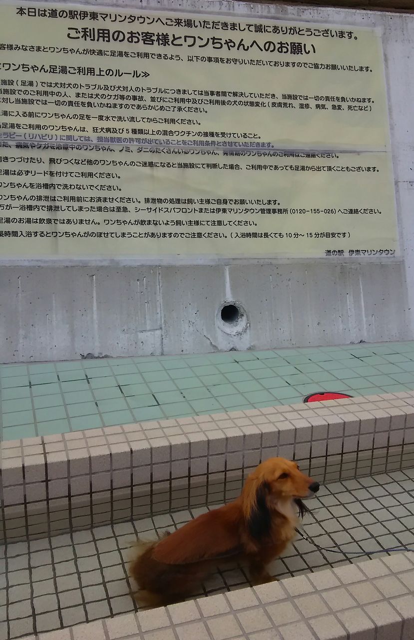 image%3A7433