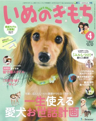 img_dog_cover