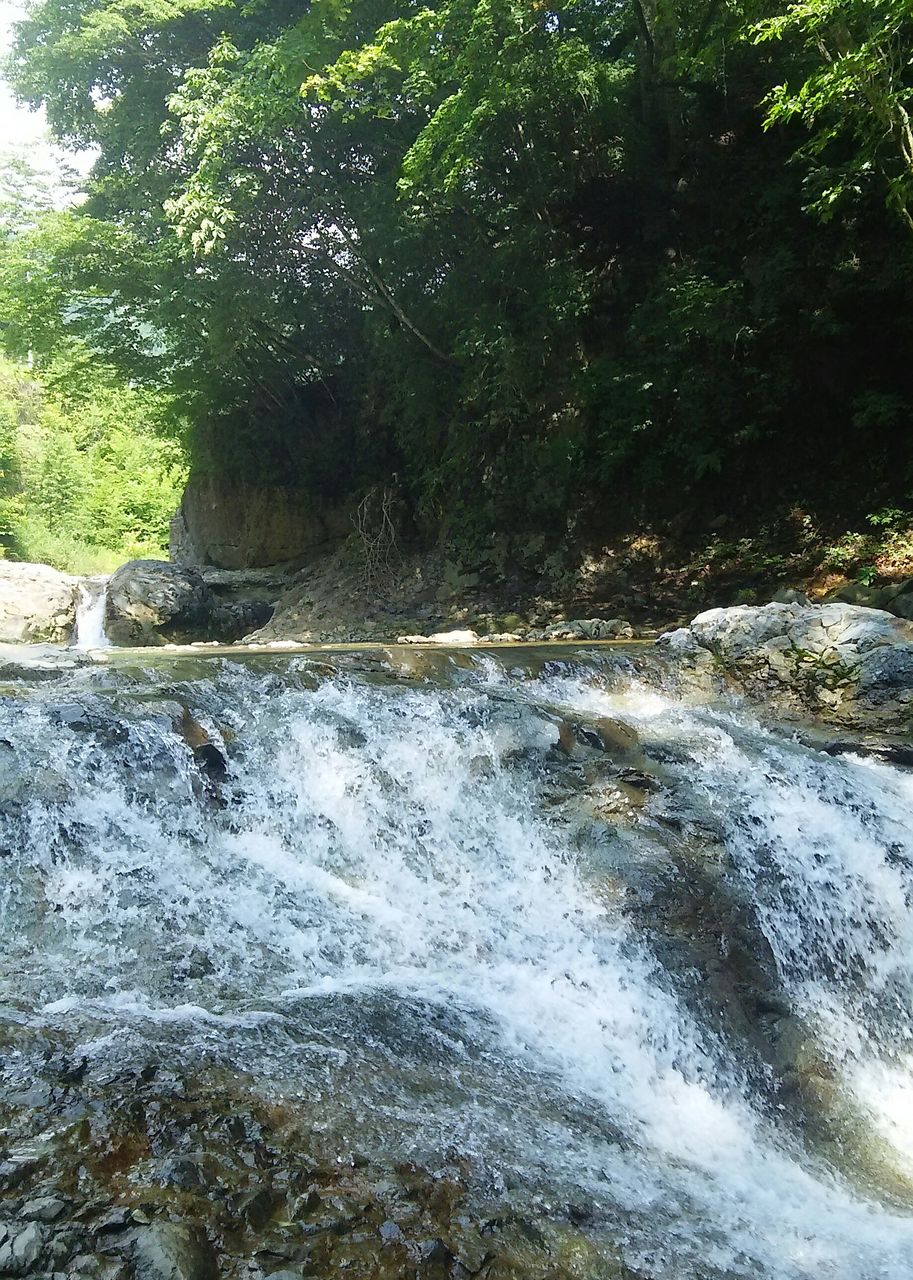 image%3A4068