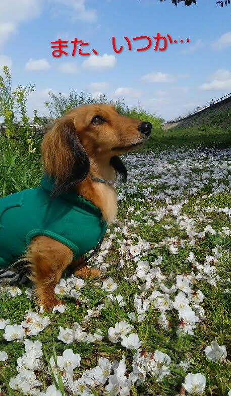 iso-2022-jp''2%1B$B%408$-J}C~2