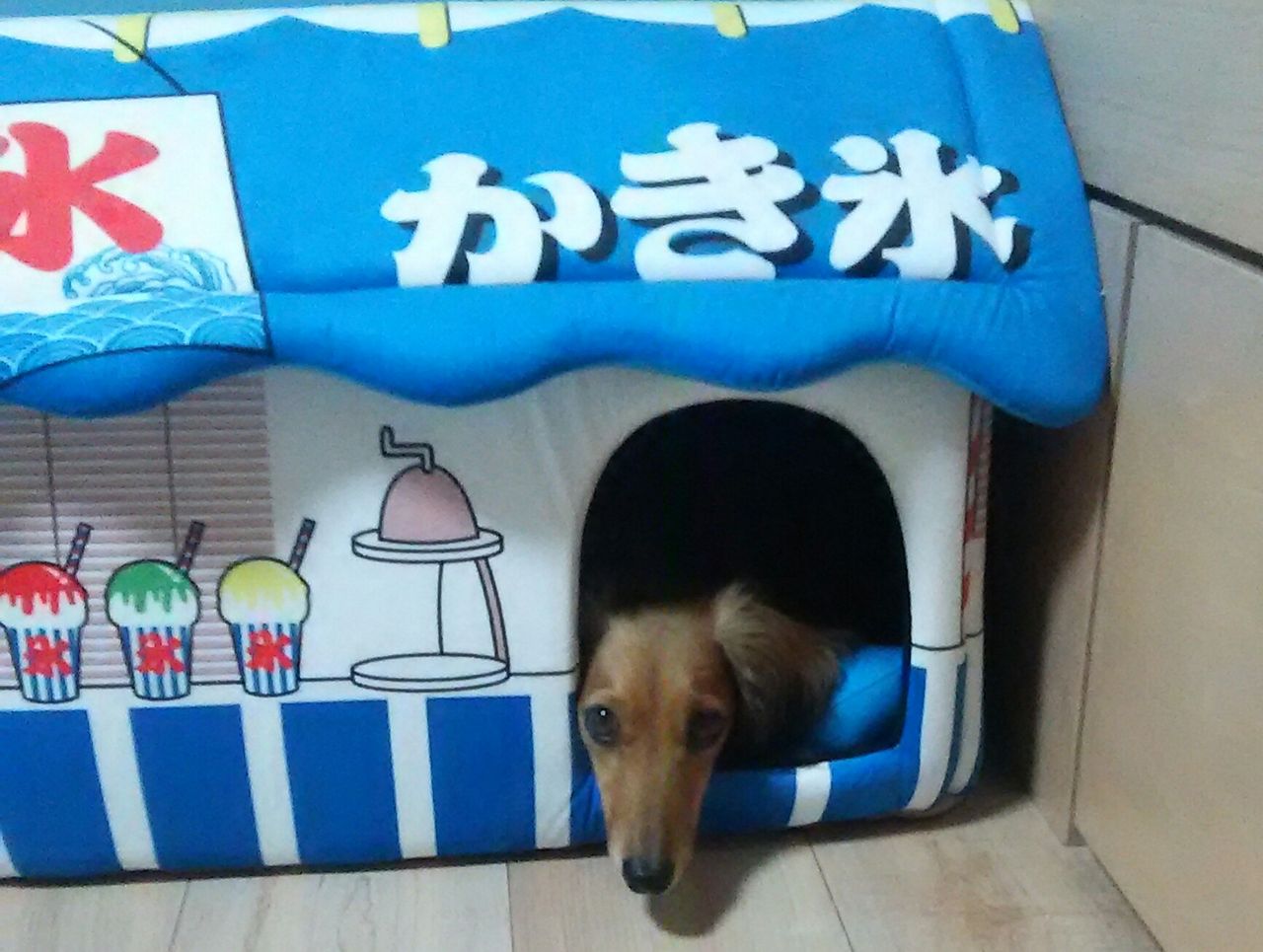image%3A9507