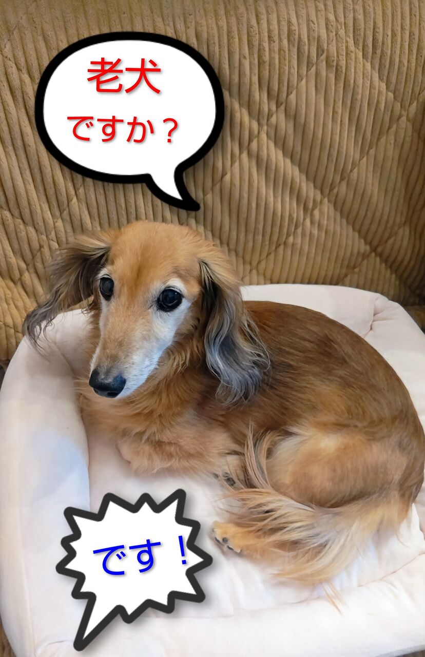 260710224246542~4