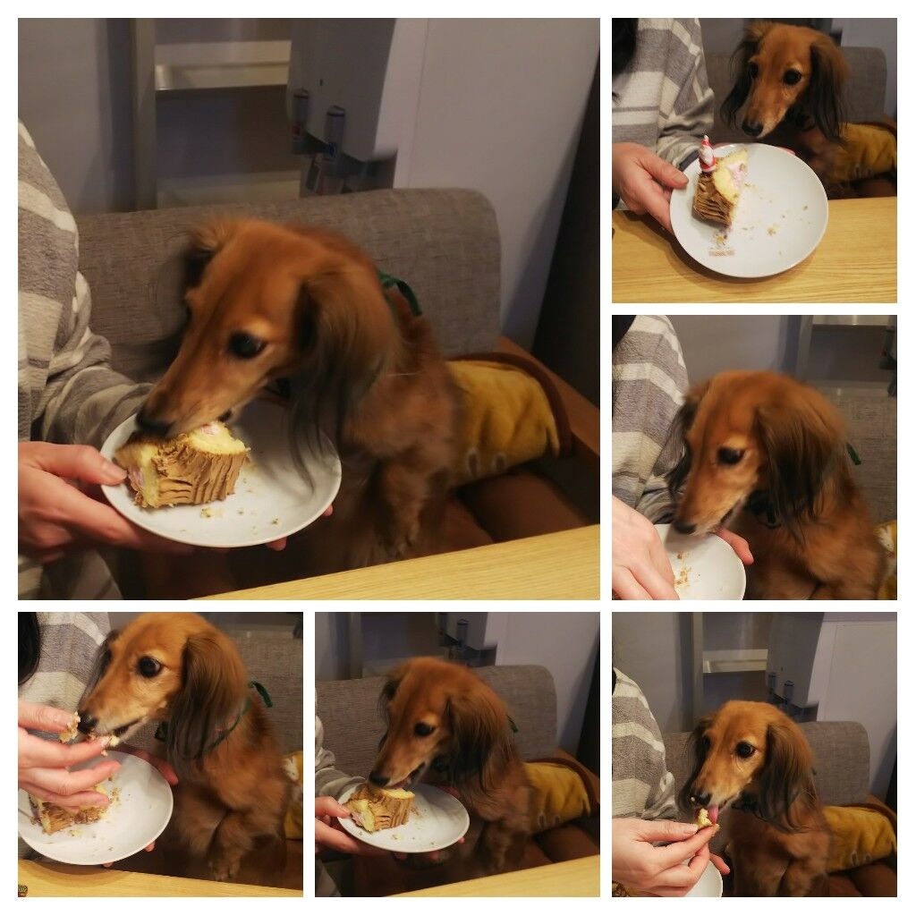 20211225_090243-COLLAGE