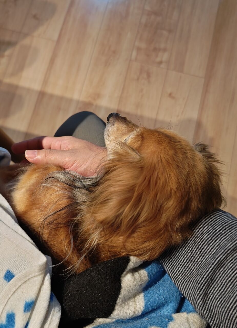 12fdf42f-437d-4138-a258-25d37b7d2fc5-1_all_53243