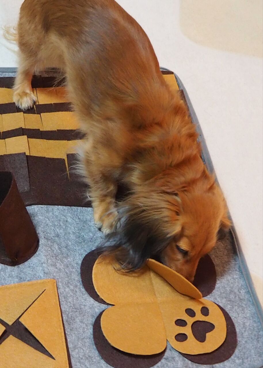 IMG_20201126<imgsrc=