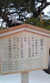 9c54fa31.jpg