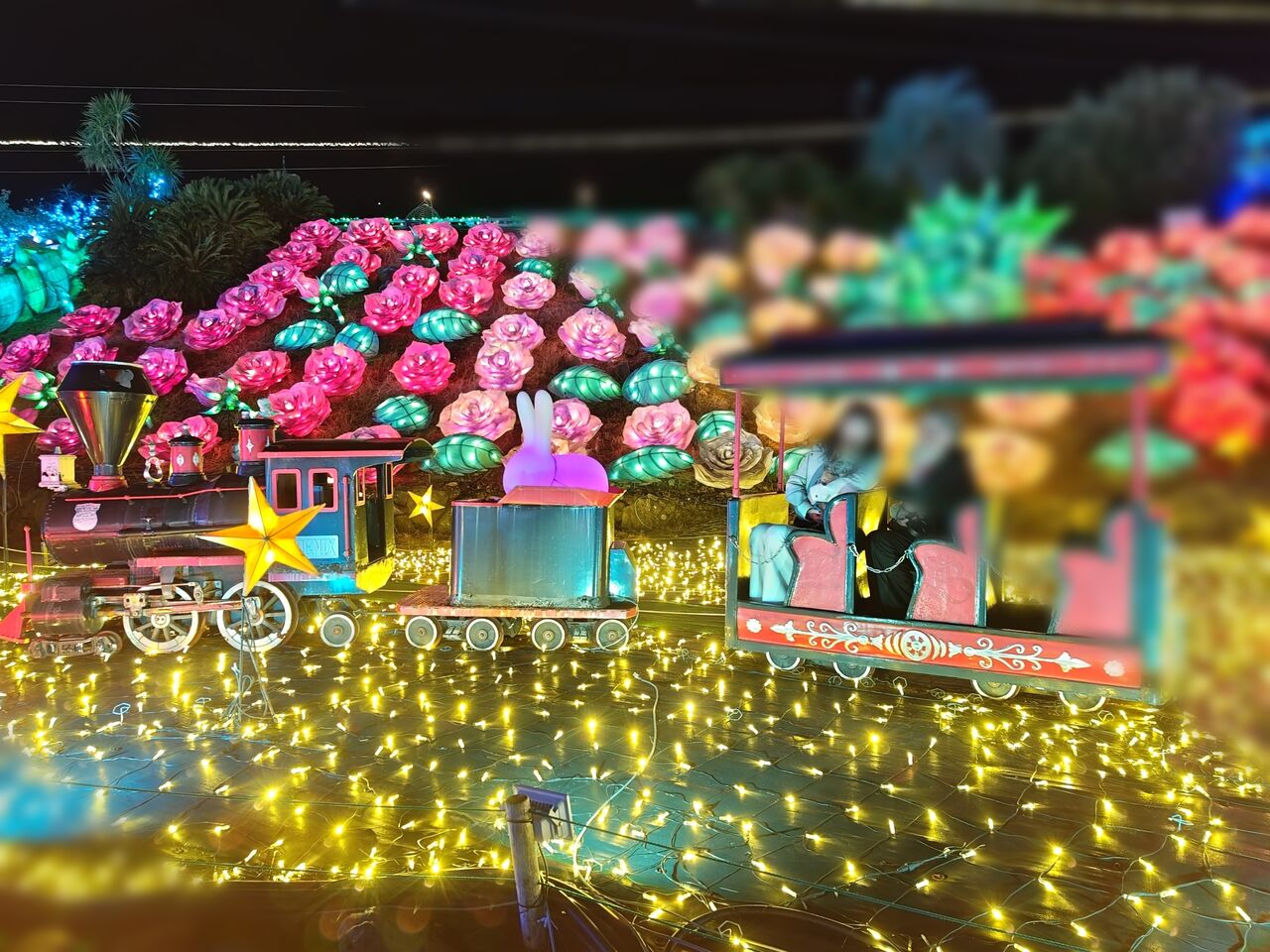 1000012318_20241130155635031