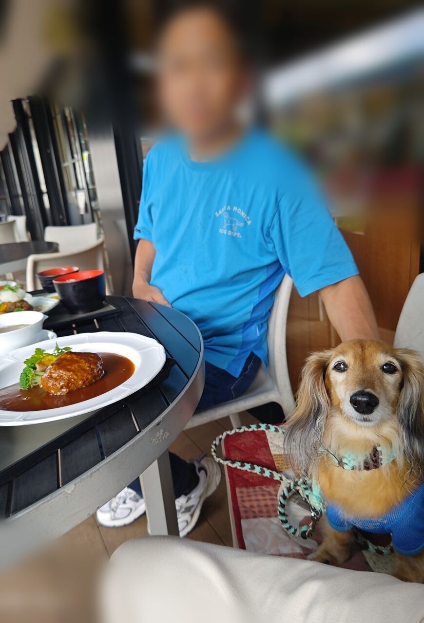 12fdf42f-437d-4138-a258-25d37b7d2fc5-1_all_50572