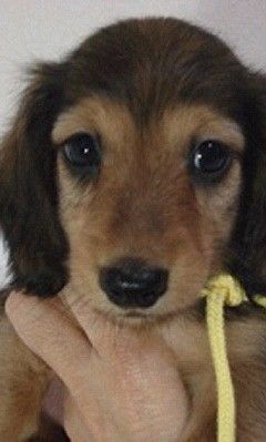 ��ǥ�10��19��