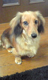a87c6202.jpg