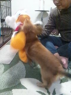 2014¡¡¤¯¤ê¤¹¤Þ¤¹Âзè