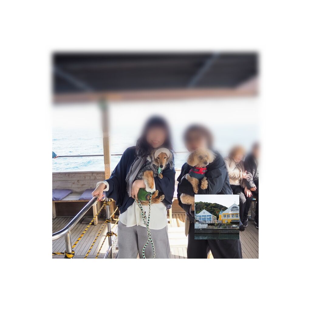 pixlr_20241126220122746