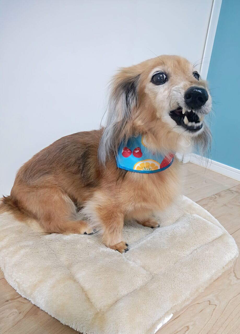 260622122948476~2