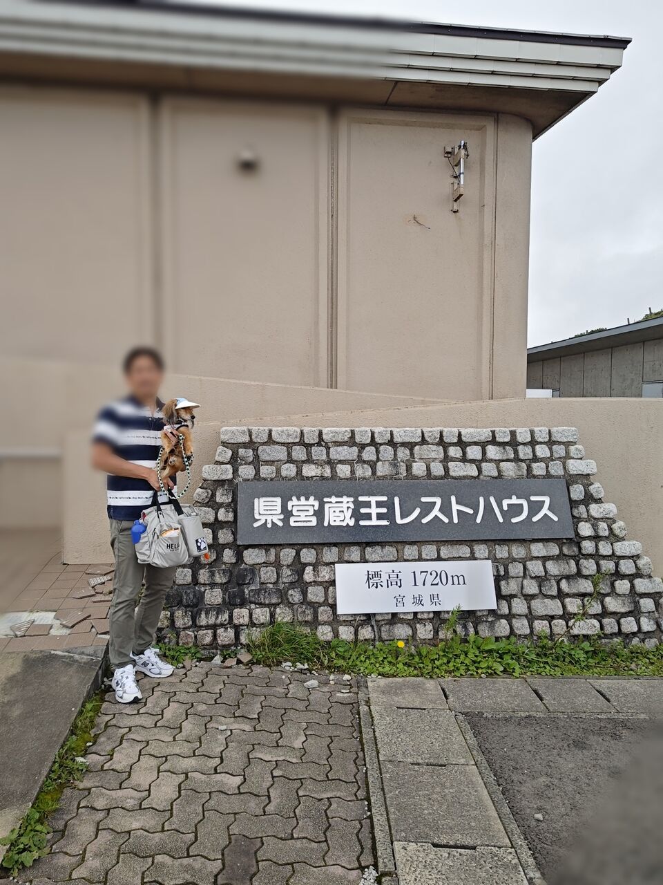 ae358af8-7539-48bd-8eff-0a9a1949f586-1_all_38105