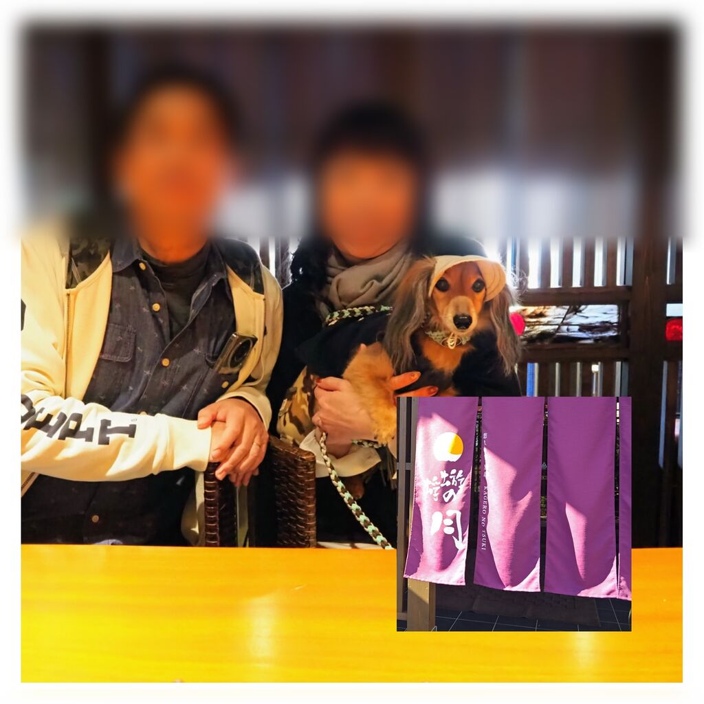 pixlr_20241123114127988