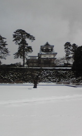 d46b5f5d.jpg