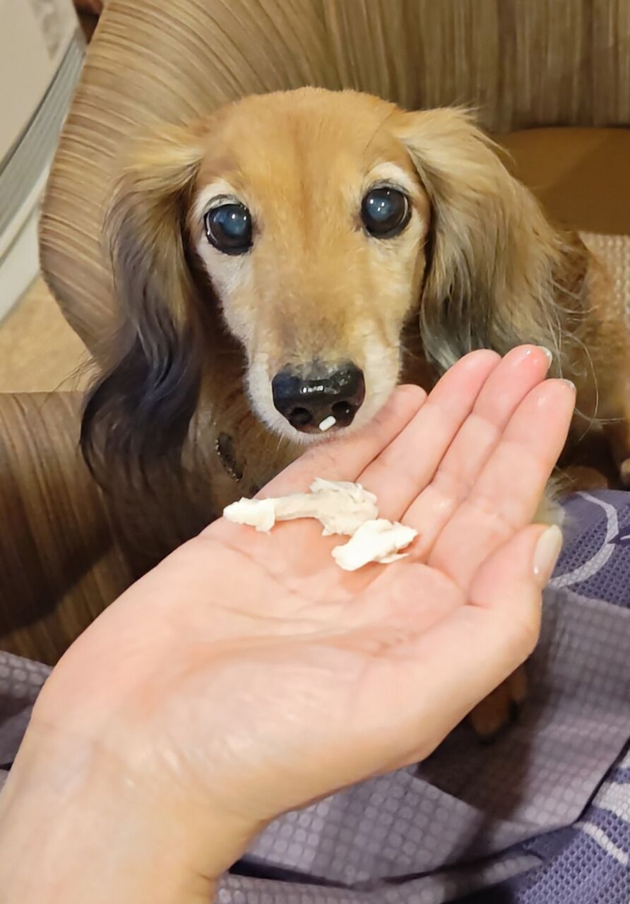 240802082818545~2 (1)