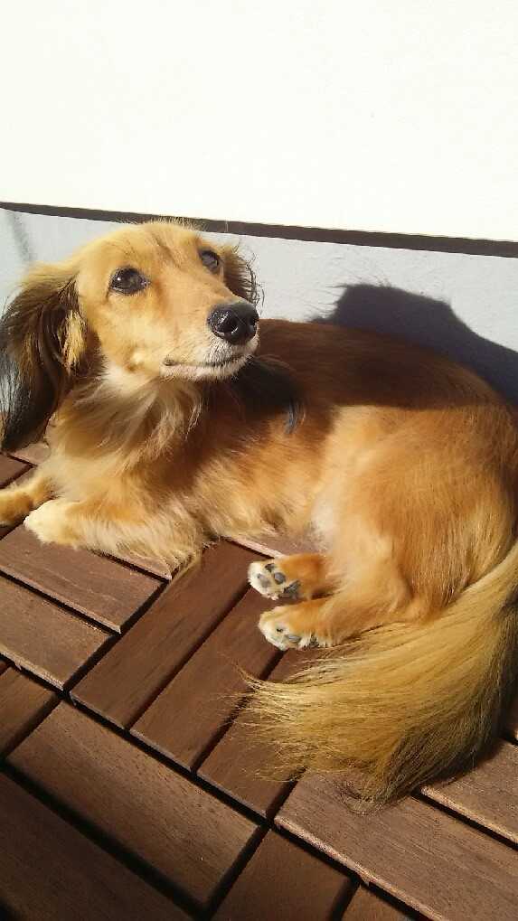 �����ܤä���