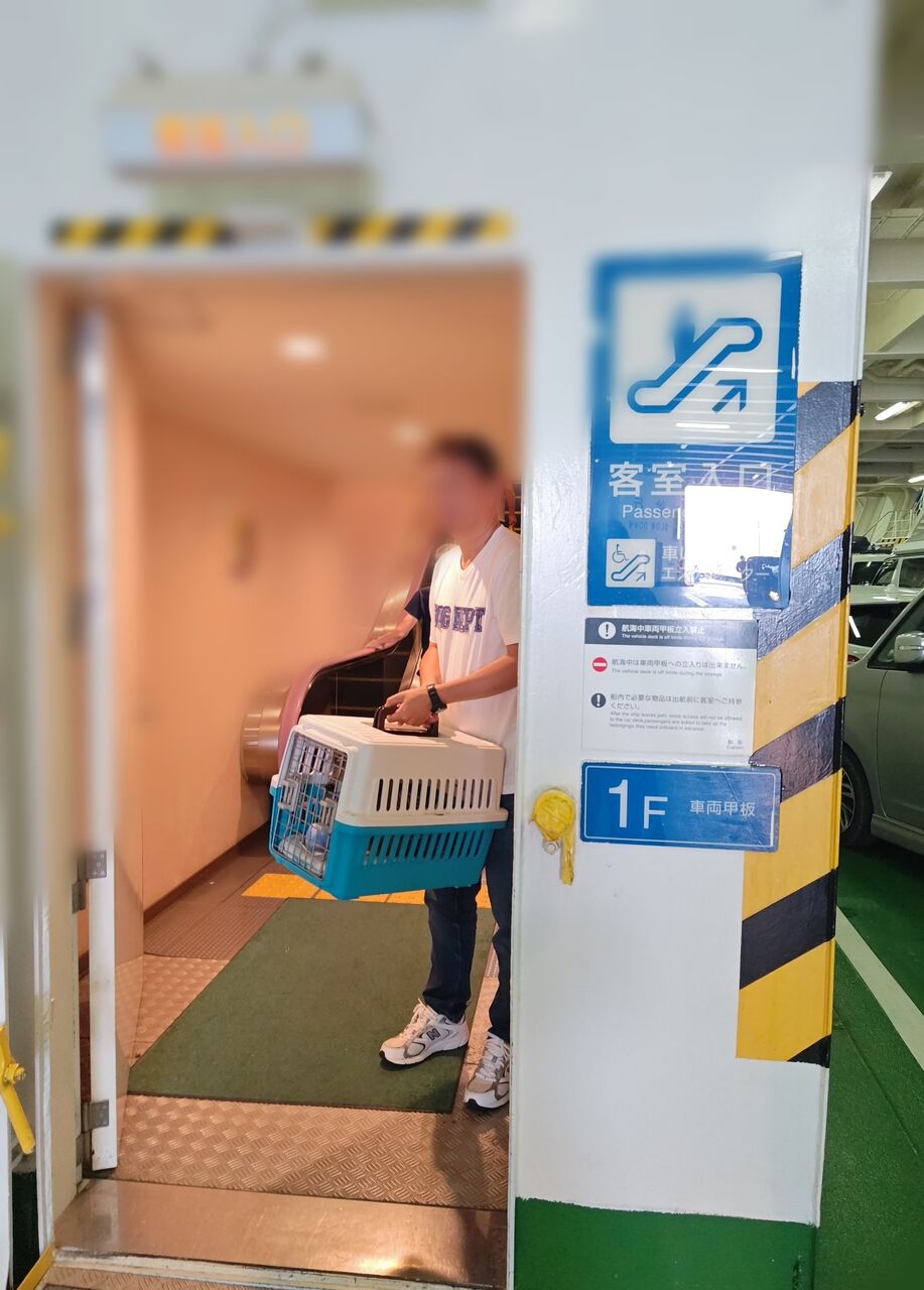 12fdf42f-437d-4138-a258-25d37b7d2fc5-1_all_50065