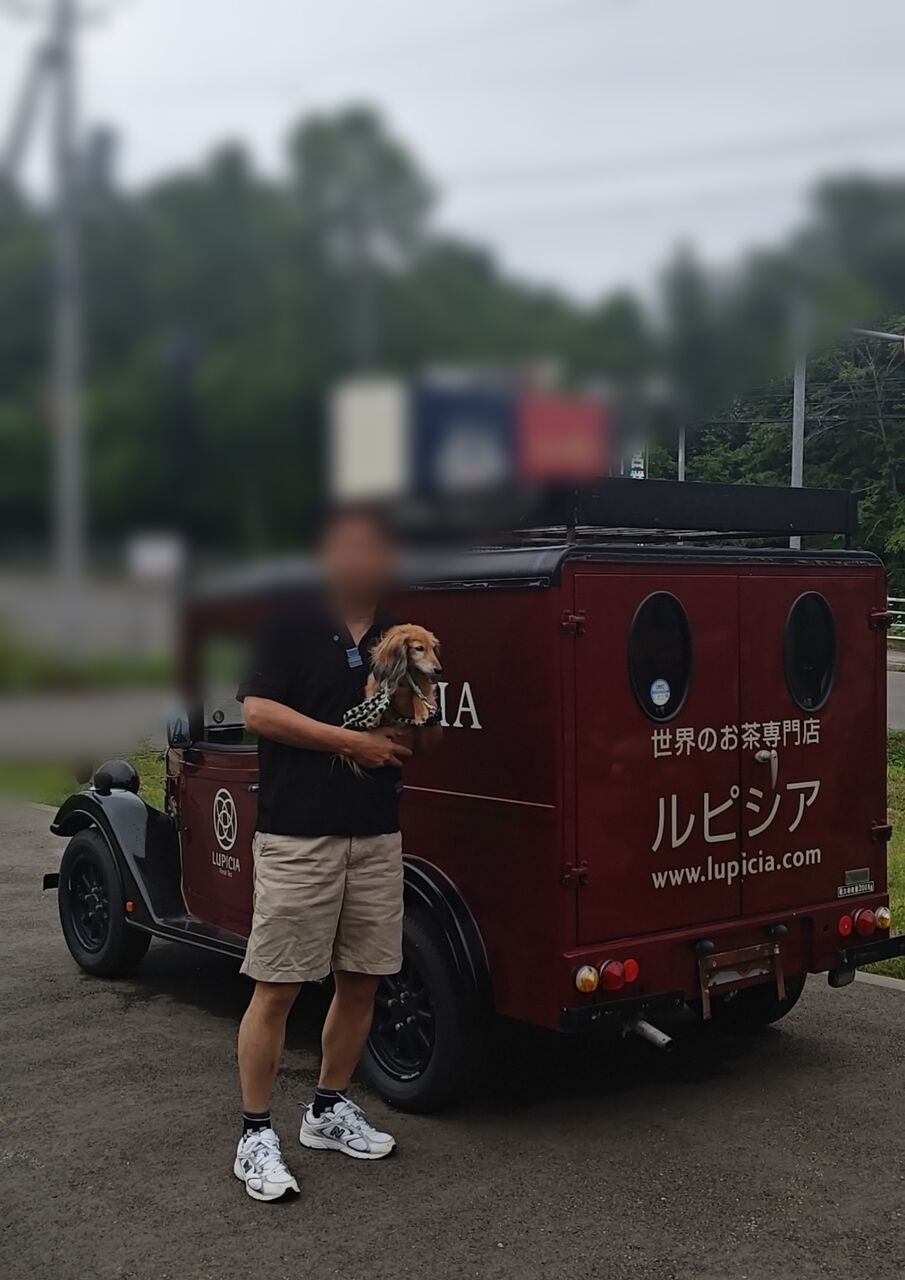 12fdf42f-437d-4138-a258-25d37b7d2fc5-1_all_49622