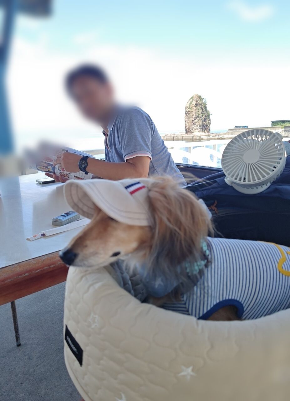 12fdf42f-437d-4138-a258-25d37b7d2fc5-1_all_50202