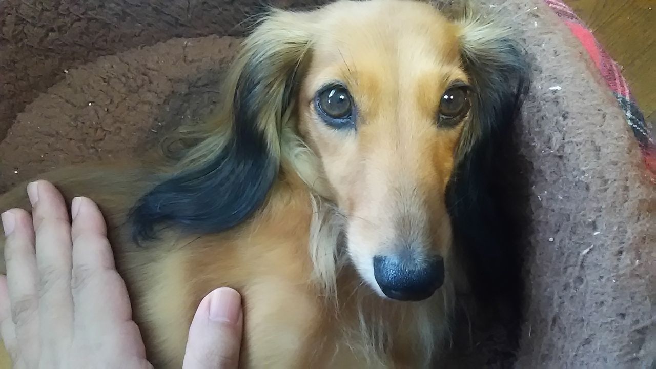 1474171253551