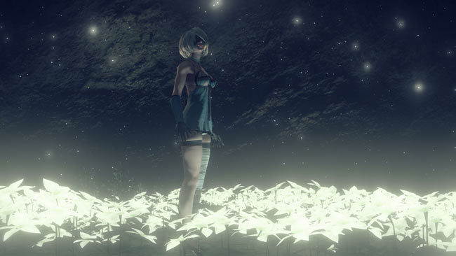 nierdlc_02