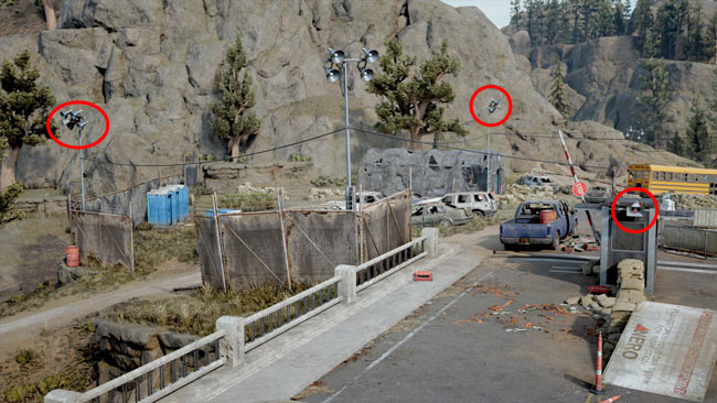 daysgone_endworld10piletspe