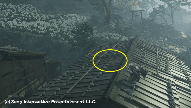 ghostof-tsushima-kusa-10-z